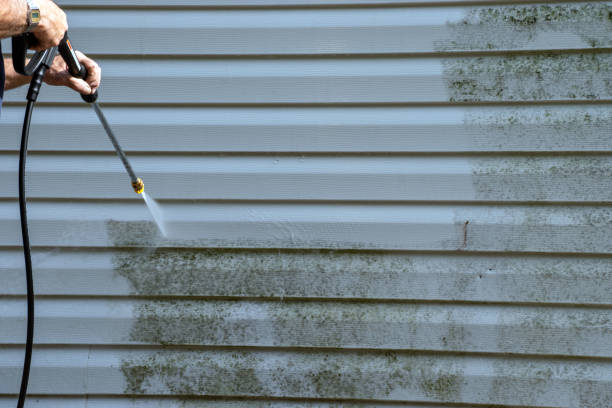 Best James Hardie Siding  in Mount Jackson, VA
