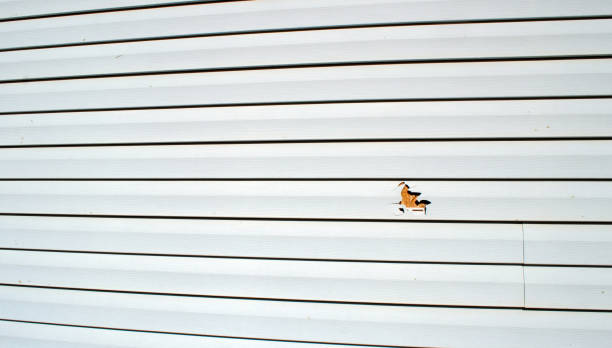 Best Weatherproofing and Sealing  in Mount Jackson, VA
