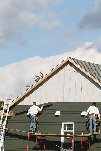Best Siding Removal and Disposal  in Mount Jackson, VA
