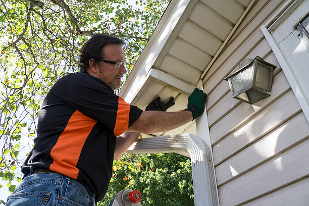 Best Steel Siding Installation  in Mount Jackson, VA